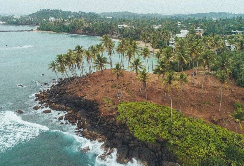 Fotos del hotel Triple O Six:  6