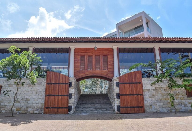 Fotos del hotel Triple O Six:  12