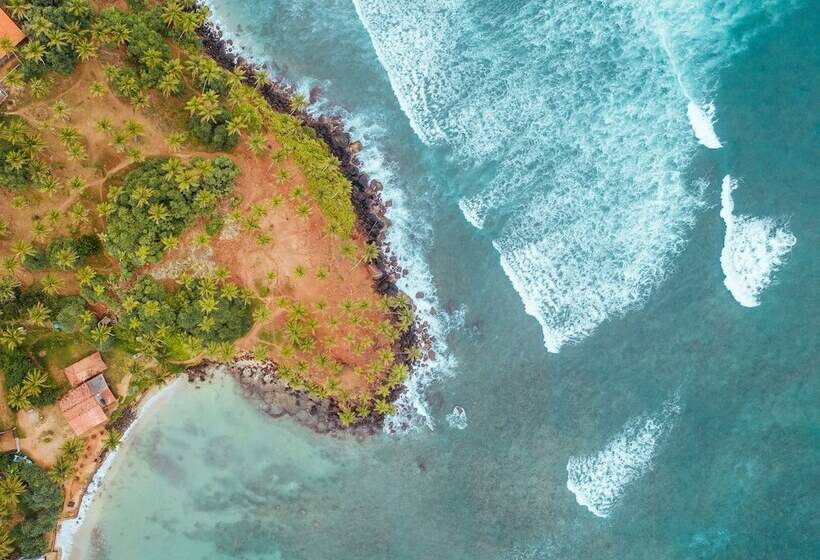 Fotos del hotel Triple O Six:  8