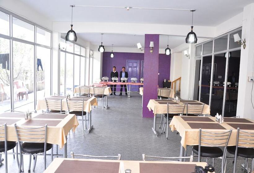 Fotos del hotel Kings Land:  13