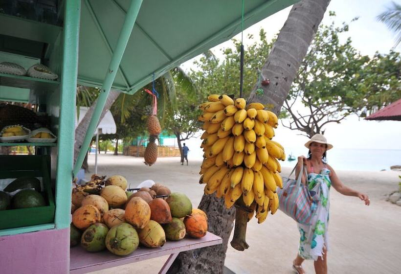 Fotos del hotel Triton Beach Hotel & Spa:  9