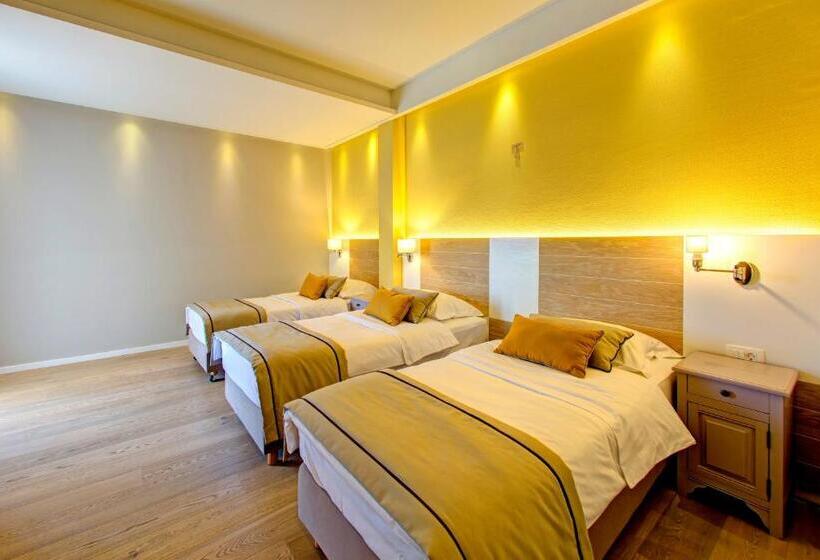 Fotos del hotel Villa Regina:  8