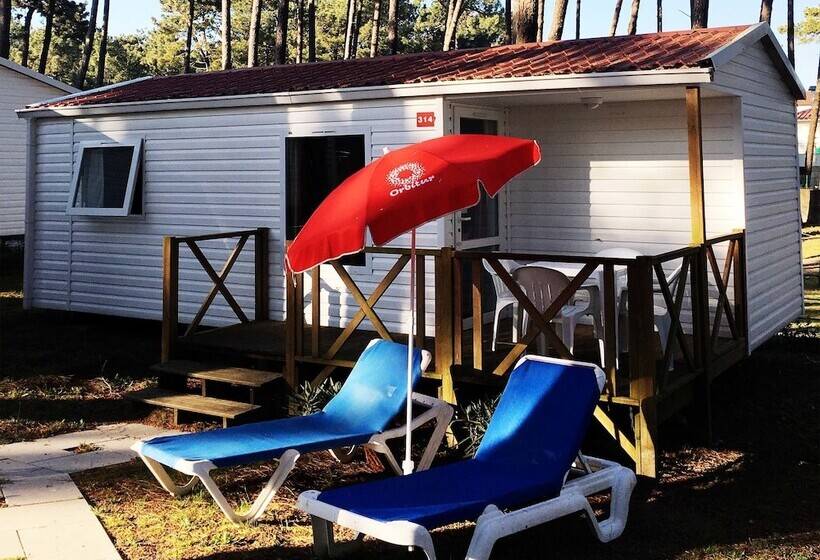 Fotos del hotel Parque De Campismo Orbitur Viana Do Castelo:  16