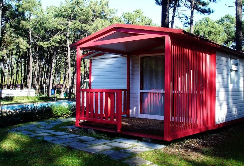 Fotos del hotel Parque De Campismo Orbitur Viana Do Castelo:  11