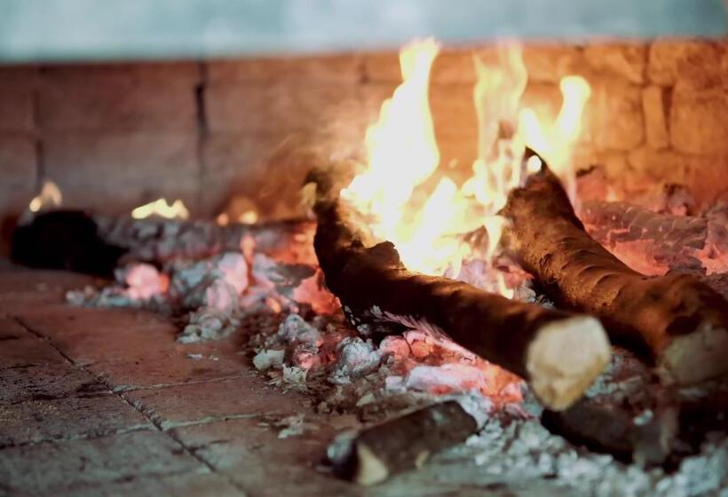 Fotos del hotel Maya Bistro  & Beach:  14