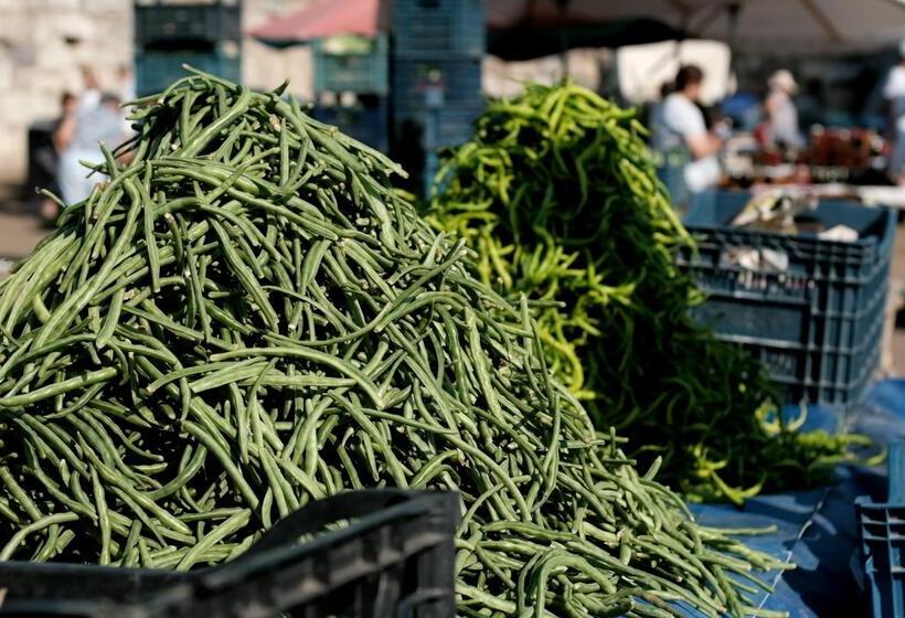 Fotos del hotel Maya Bistro  & Beach:  21