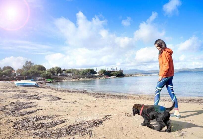 Fotos del hotel Maya Bistro  & Beach:  19