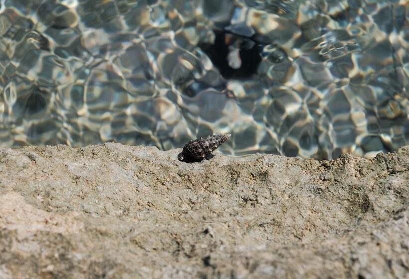 Fotos del hotel Maya Bistro  & Beach:  11