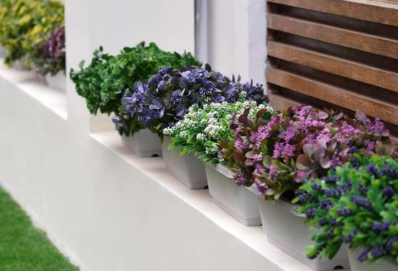 Fotos del hotel Mehood Lestie:  23