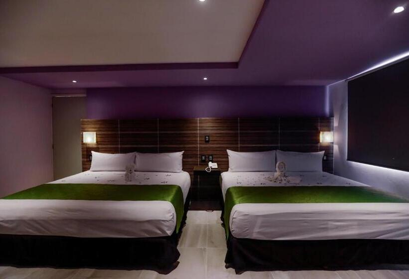 Fotos del hotel Kavia:  20