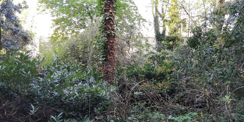 Fotos del hotel Hôtel De Berri, A Luxury Collection , Paris:  23