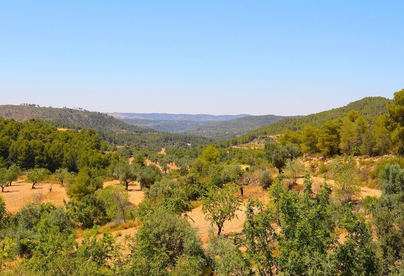 Fotos del hotel Mas De La Costa:  4