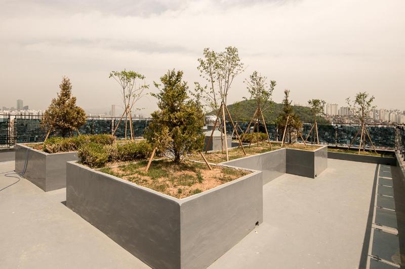 Fotos del hotel Wd:  4