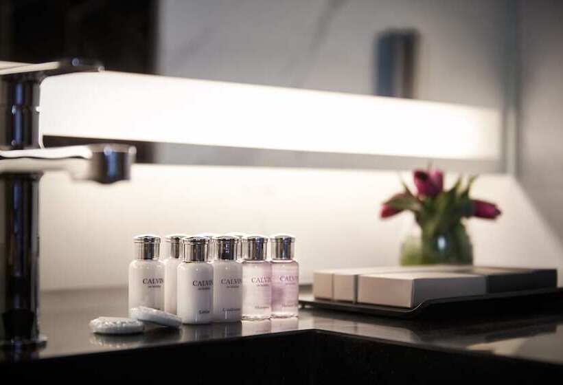 Fotos del hotel South Vandeco:  8