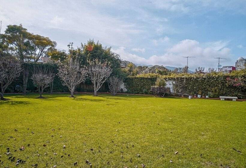 Fotos del hotel Brisas Express:  19