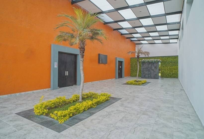 Fotos del hotel Brisas Express:  4