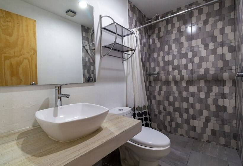 Fotos del hotel Brisas Express:  12