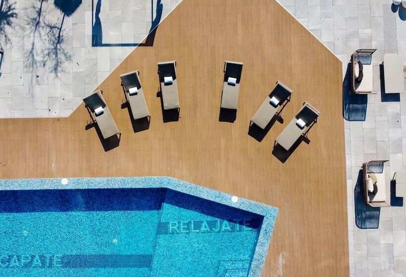 Fotos del hotel Camino Real Fashion Drive Monterrey:  12