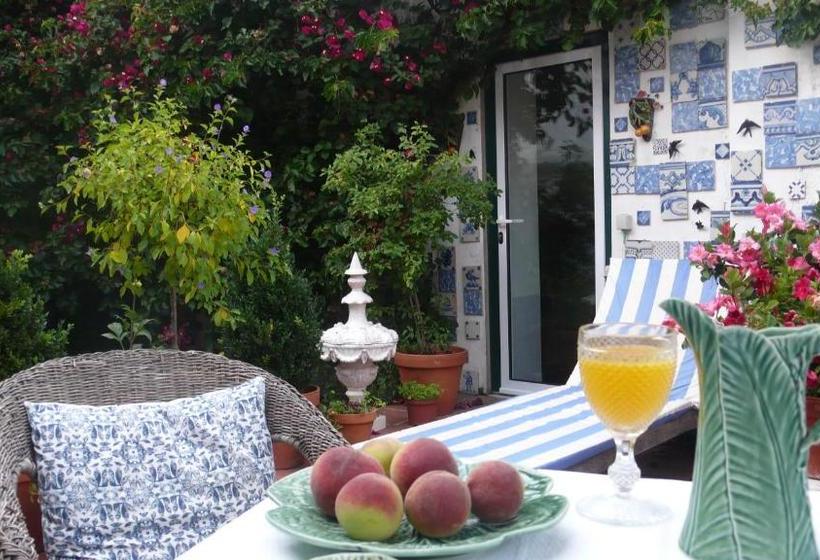 Fotos del hotel Oliveirinha:  4