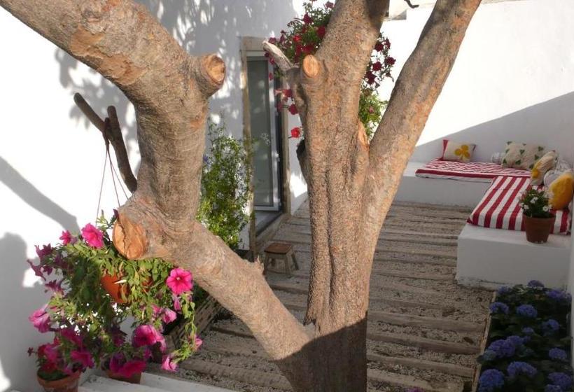 Fotos del hotel Oliveirinha:  8