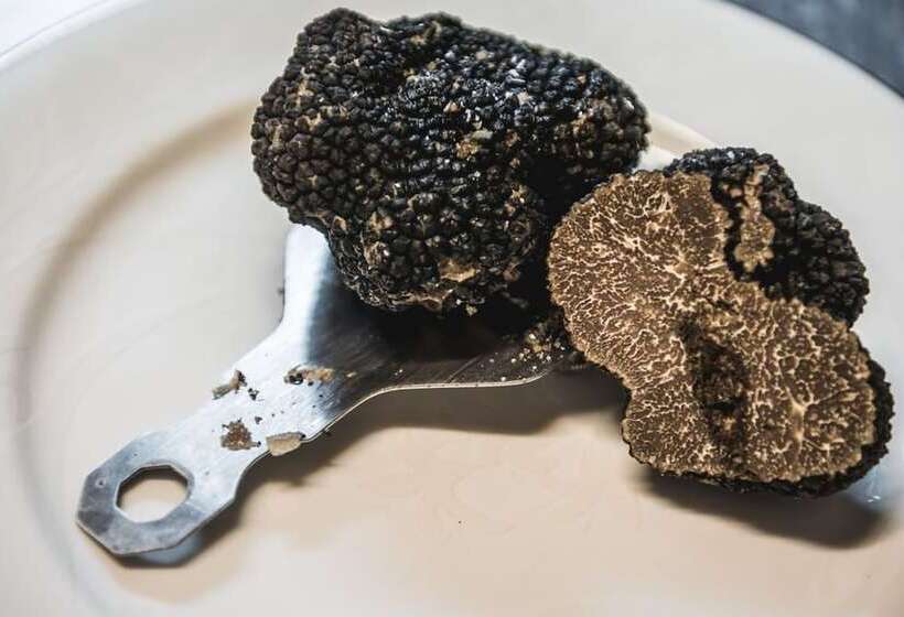 Fotos del hotel Le Vecchie Cantine:  15