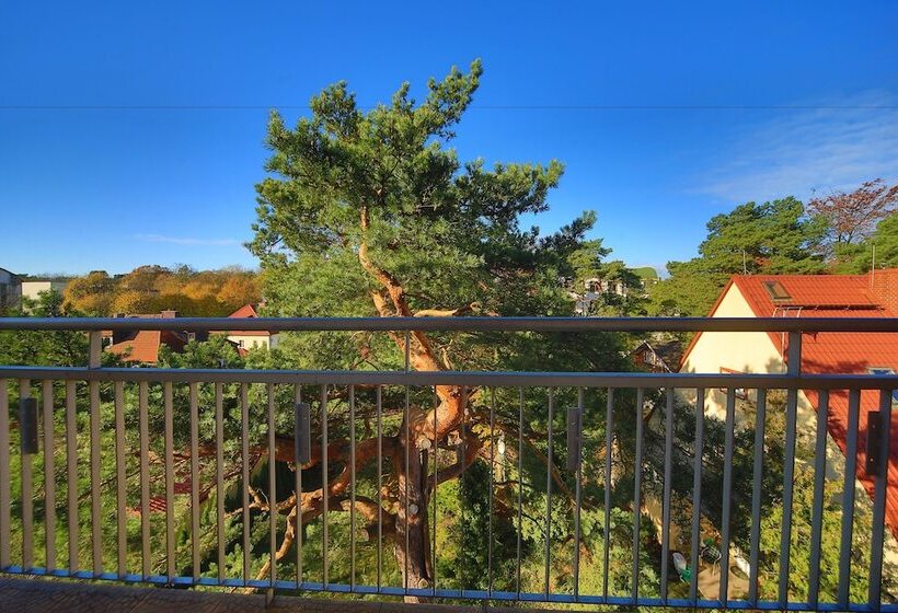 Fotos del hotel Polaris Iii:  4