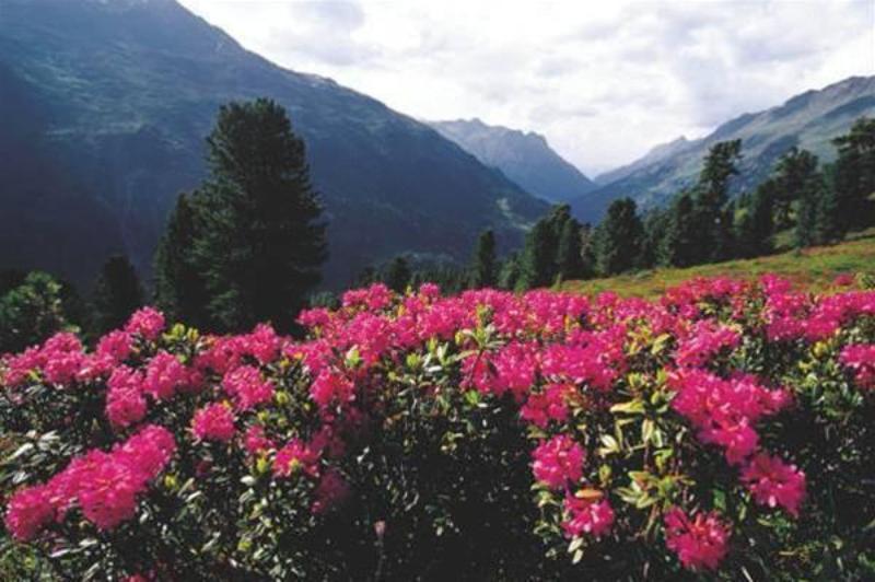 Fotos del hotel Ulli's Ferienheim:  11