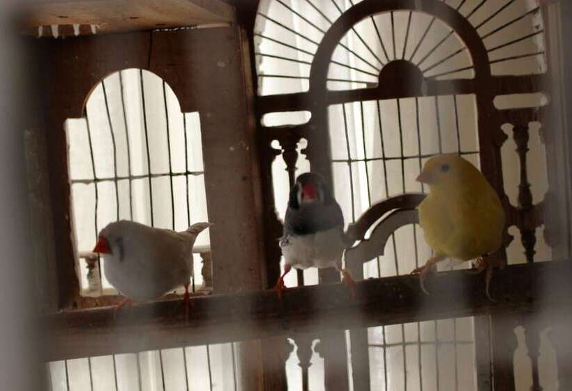 Fotos del hotel Villa The President:  6