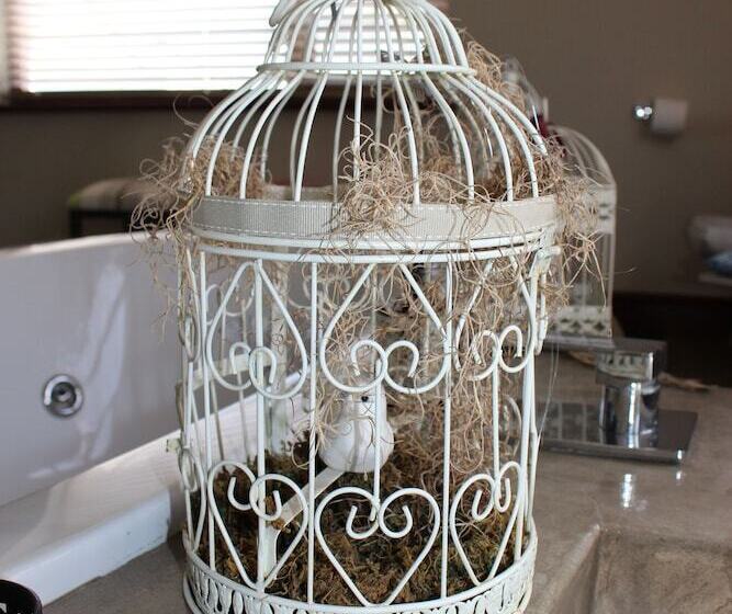 Fotos del hotel Villa The President:  13