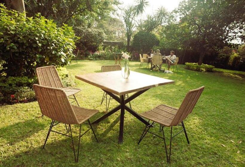 Fotos del hotel Amate:  4