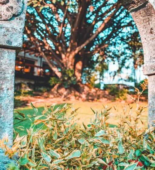 Fotos del hotel Amate:  15