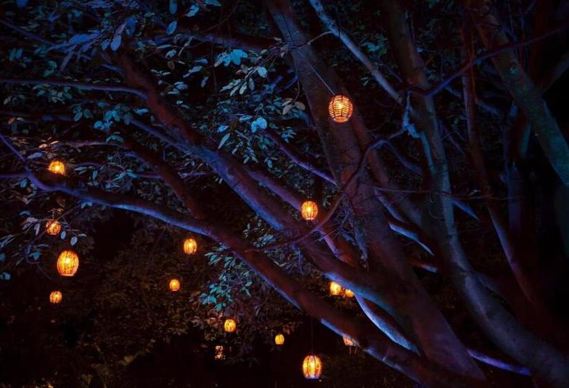 Fotos del hotel Amate:  5