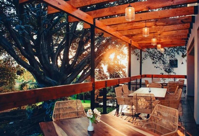 Fotos del hotel Amate:  21