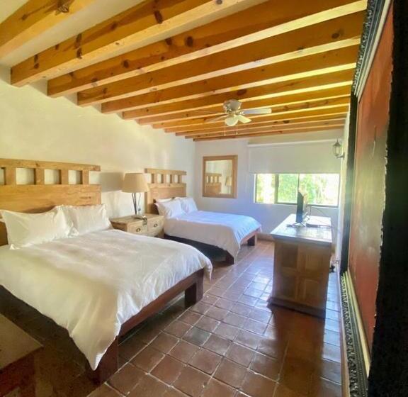 Fotos del hotel Amate:  19