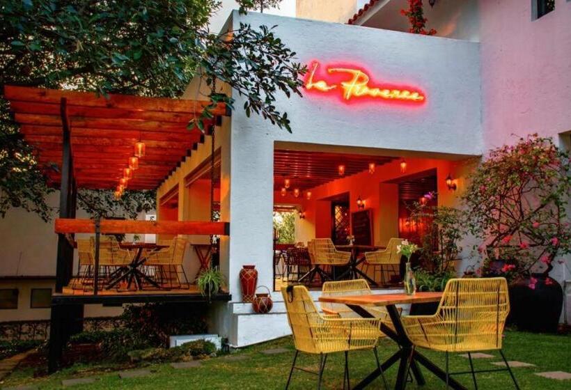 Fotos del hotel Amate:  17