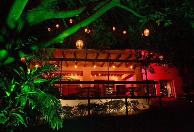 Fotos del hotel Amate:  23