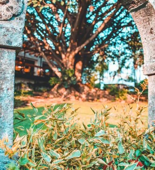 Fotos del hotel Amate:  6