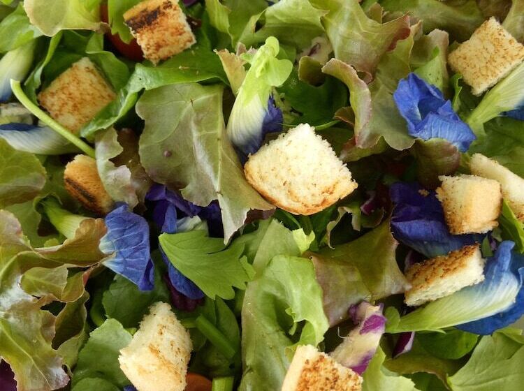 Fotos del hotel Le Passetemps:  11