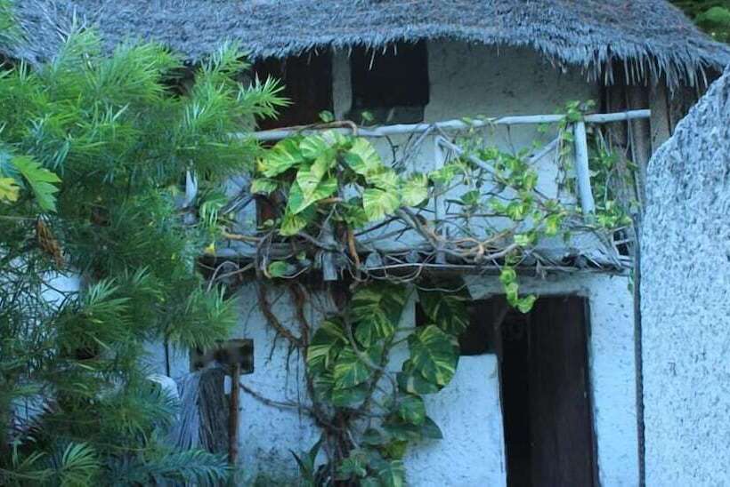 Fotos del hotel Nyamkwi White Sands:  10