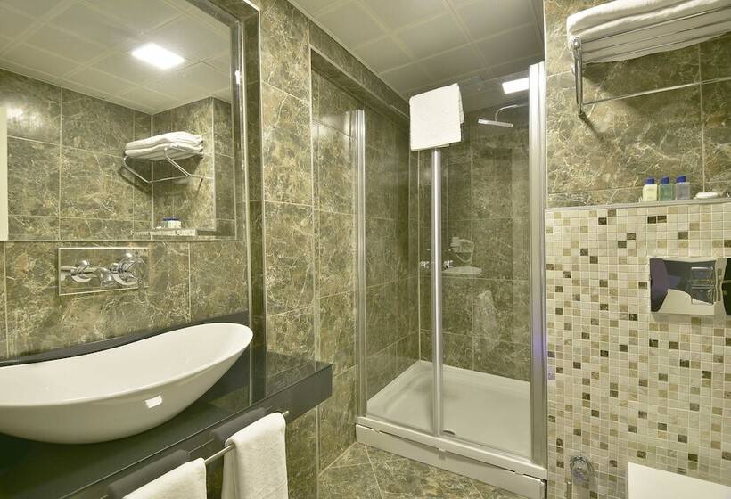 Fotos del hotel Piccolo Hotel Istanbul:  17