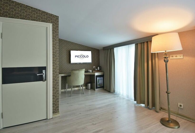 Fotos del hotel Piccolo Hotel Istanbul:  23