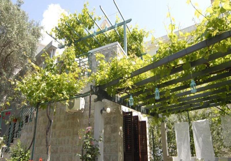 Fotos del hotel Casa Di Oliveto:  25