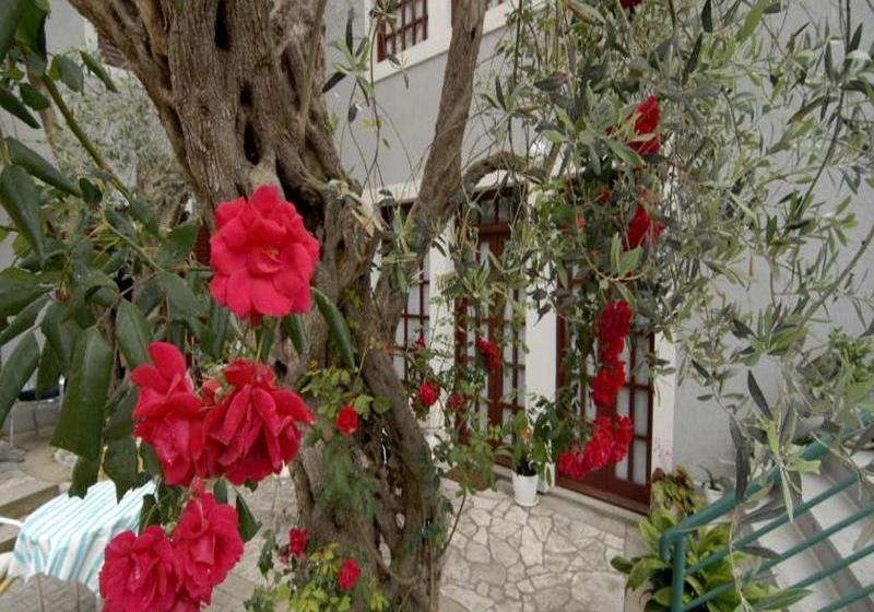 Fotos del hotel Casa Di Oliveto:  20