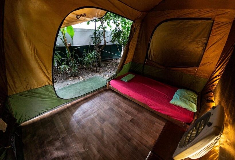 Fotos del hotel Dougies Backpackers Resort:  15