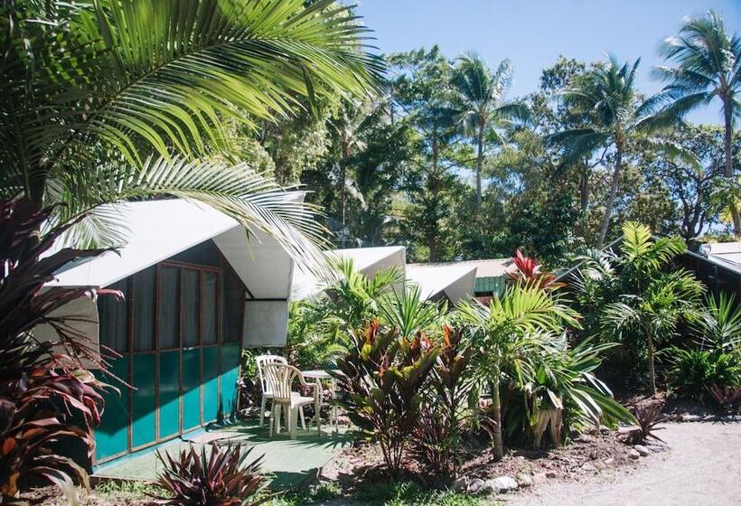 Fotos del hotel Dougies Backpackers Resort:  11