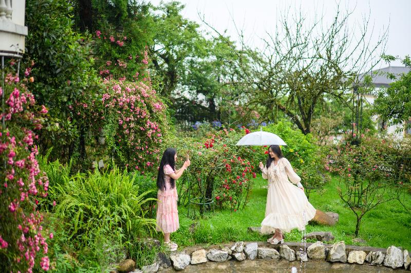 Fotos del hotel Sapa Highland Resort & Spa:  14