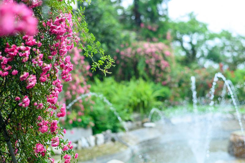 Fotos del hotel Sapa Highland Resort & Spa:  8