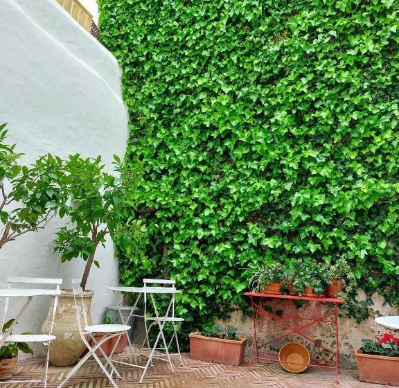 Fotos del hotel Casa Shelly Hospedería:  19