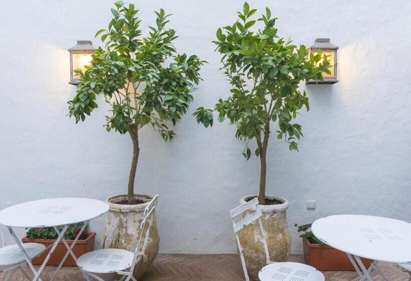 Fotos del hotel Casa Shelly Hospedería:  15