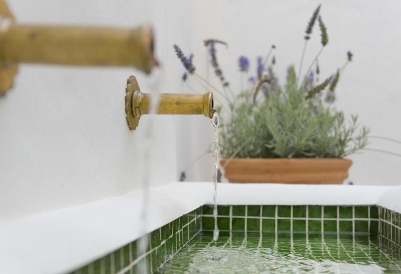 Fotos del hotel Casa Shelly Hospedería:  13